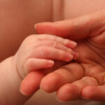 Object Relations Theory Course-Infant's and parent's hands
